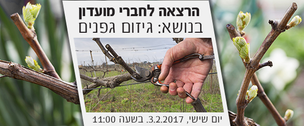 הרצאה בנושא גיזום גפנים